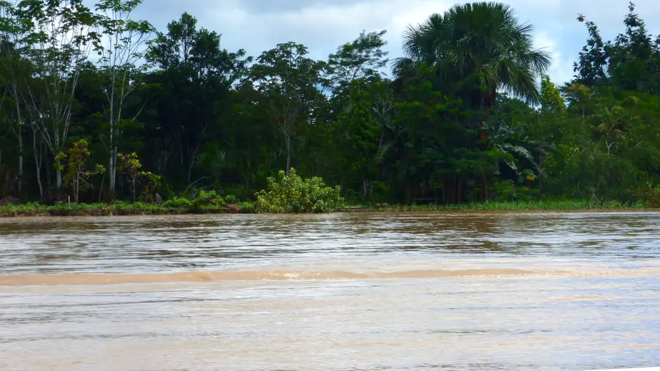 Amazon Riverfront: 700 Hectares of Pristine Rainforest Land for Sale in Peru — Ideal for Conservation, Eco-Tourism, and Carbon Credits. Fully Titled Property. A Unique Opportunity to Own a Piece of Untouched Amazonian Nature.