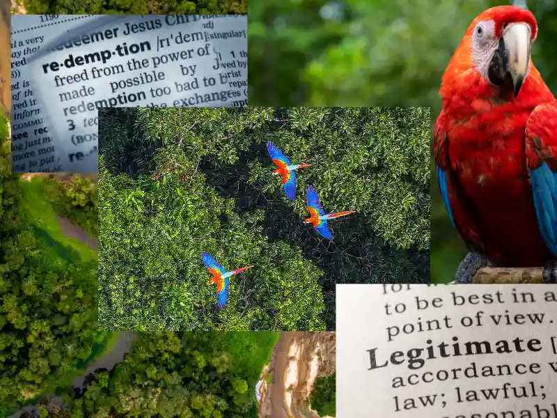 Macaw and Amazon rainforest imagery combined with dictionary definitions of redemption and legitimate representing the transition from failed financial schemes to genuine conservation partnerships and thriving ecosystems.
