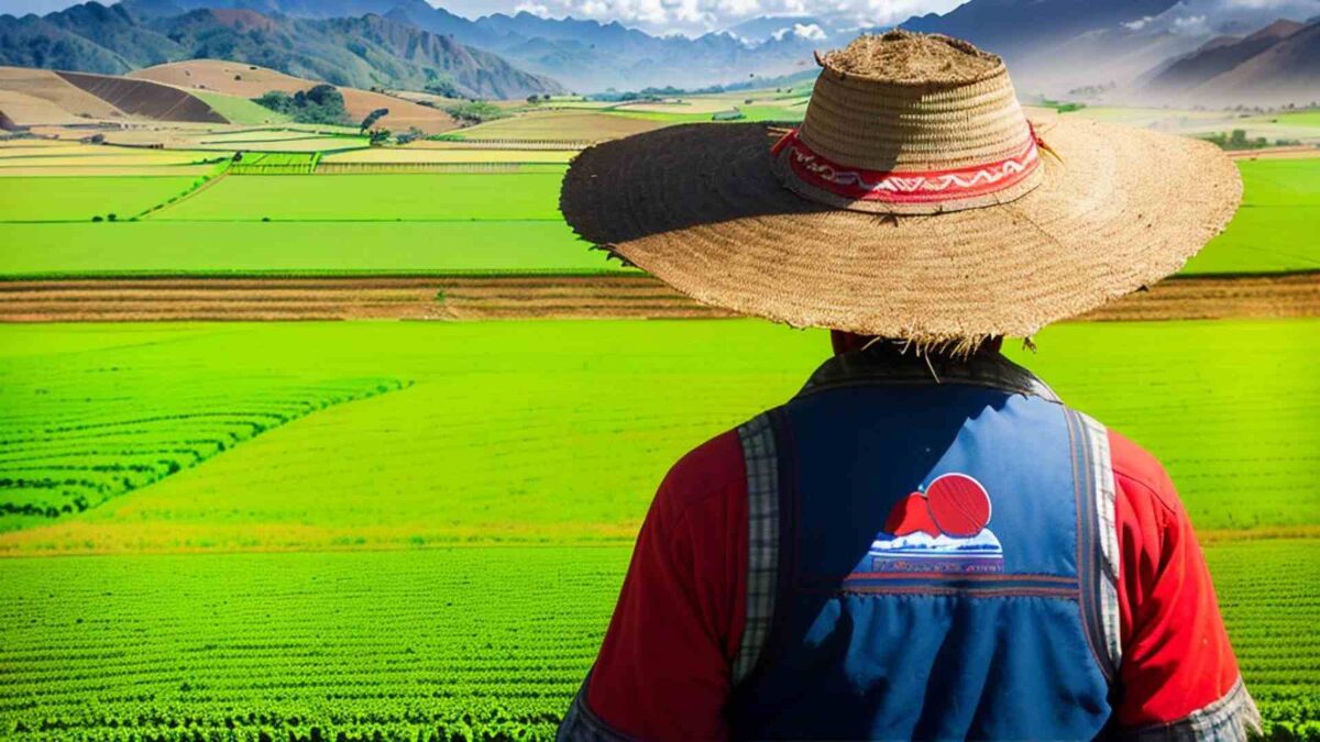Farmer in the field in Peru