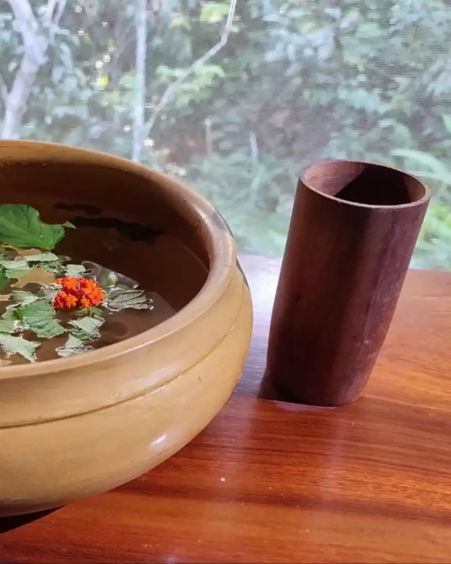 Bowl with traditional plant brew and fresh leaves on a wooden table at a jungle retreat centre in Iquitos, Peru