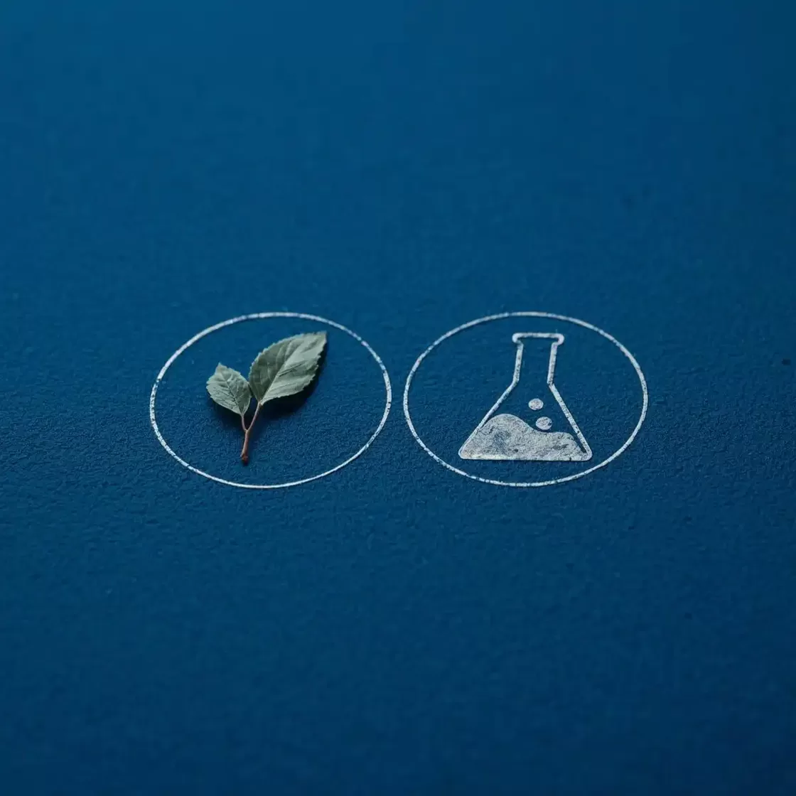 Два круга с листом и колбой  — о различиях традиции и фармауаски