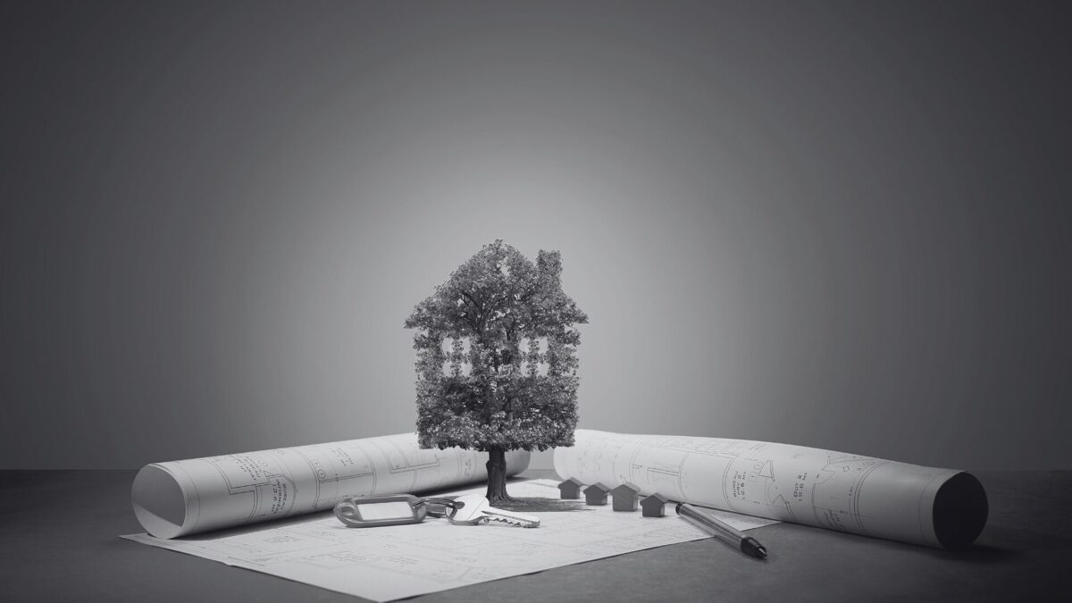 Symbolic image of sustainable architecture: a tree shaped like a house standing on building plans, representing eco-conscious land development, nature integration, and responsible housing in the Amazon region.