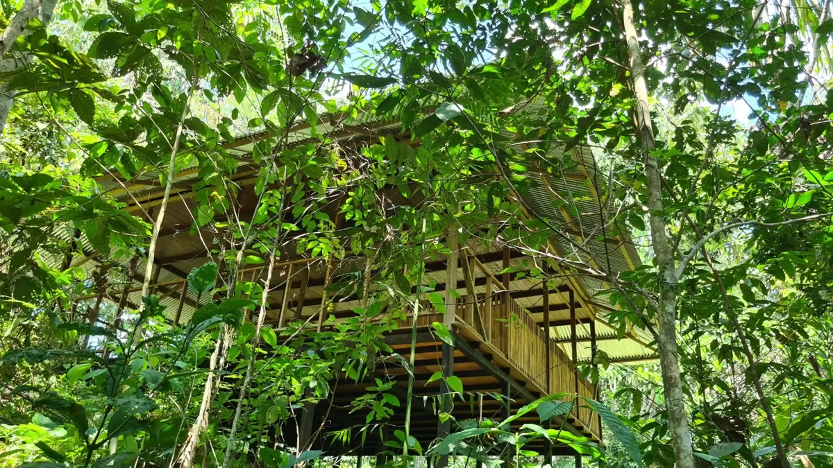 Modern eco jungle home in Peru built with bamboo and natural materials surrounded by tropical forest This elevated house design blends traditional Amazonian architecture with modern off-grid living, ideal for retreat centers or sustainable private residences in the rainforest.