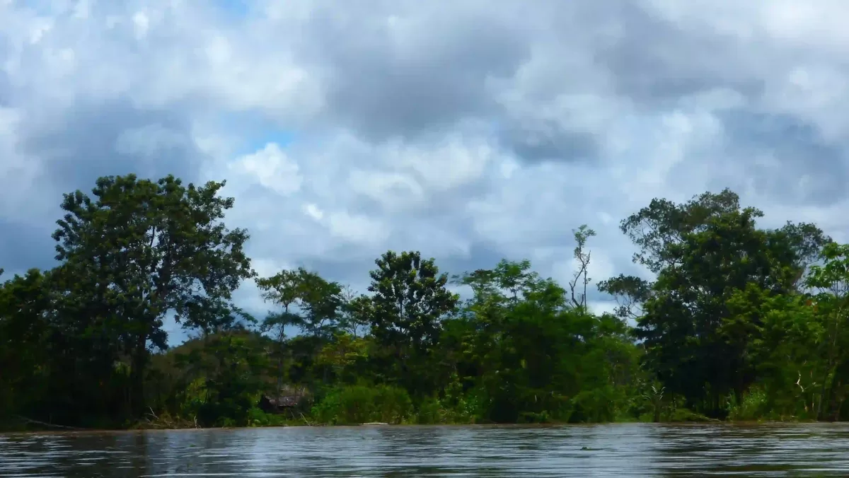 Waldufer an ruhigem Gewässer mit dichter Vegetation und bewölktem Himmel in Peru