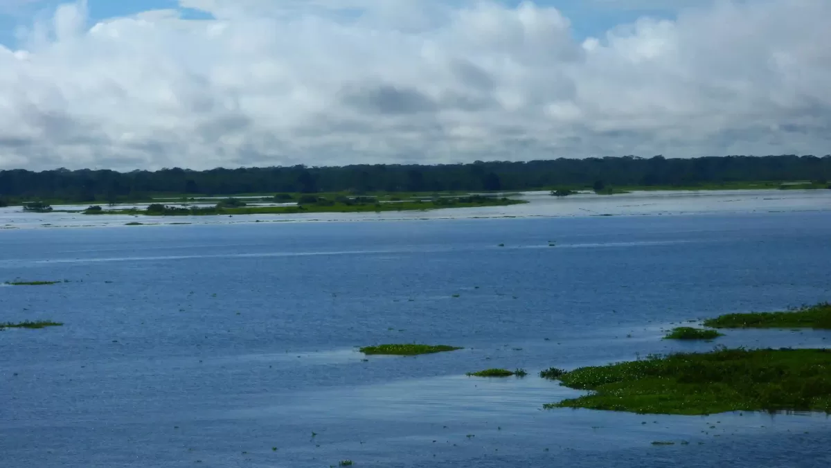 Weite Amazonas Wasserfläche mit Inseln aus Wasserpflanzen und ferner Junglelinie in Peru